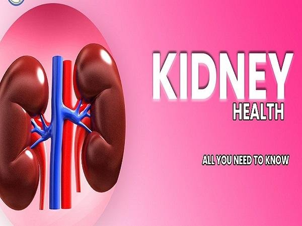 Kidney Problems: Causes | Symptoms | Treatment Medication