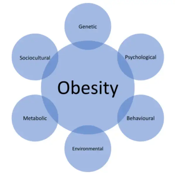 Obesity: Causes | Effects and Treatment Medication